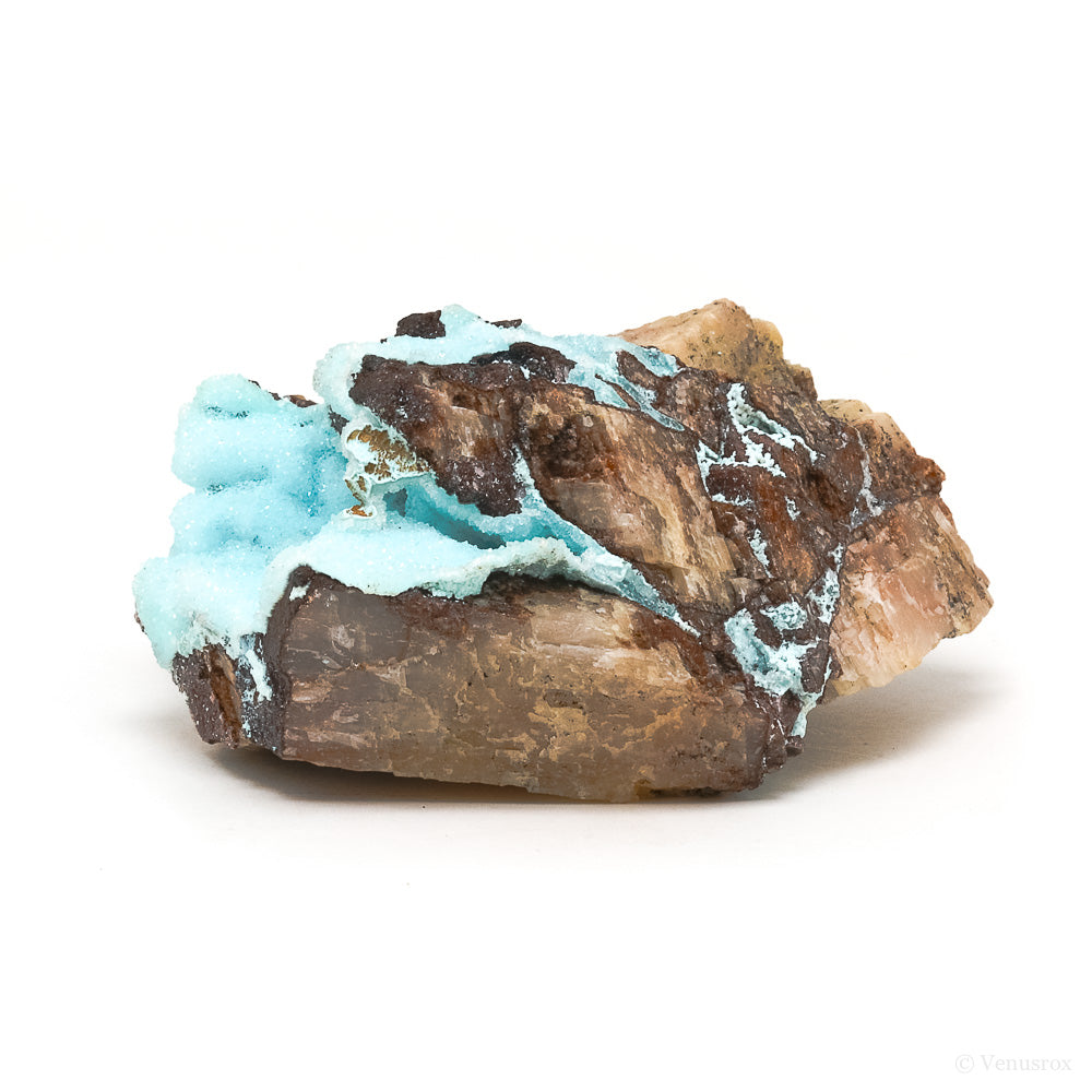 Chrysocolla with Clear Quartz & Matrix Natural Crystal from the Tenke-Fungurume Area, Lualaba, Democratic Republic of the Congo | Venusrox