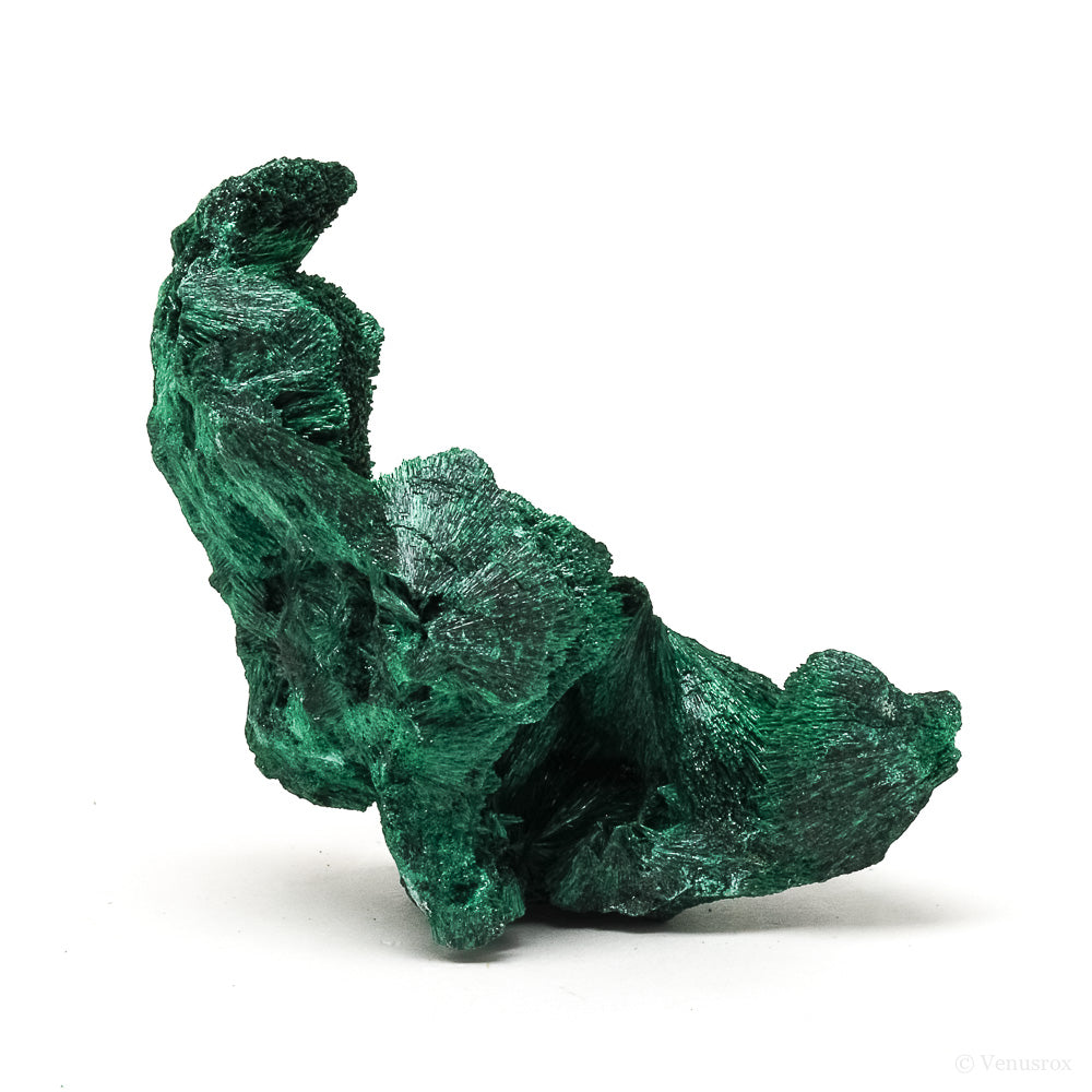 Fibrous Malachite Natural Crystal from the Luishia Mine, Katanga Province, Democratic Republic of Congo | Venusrox