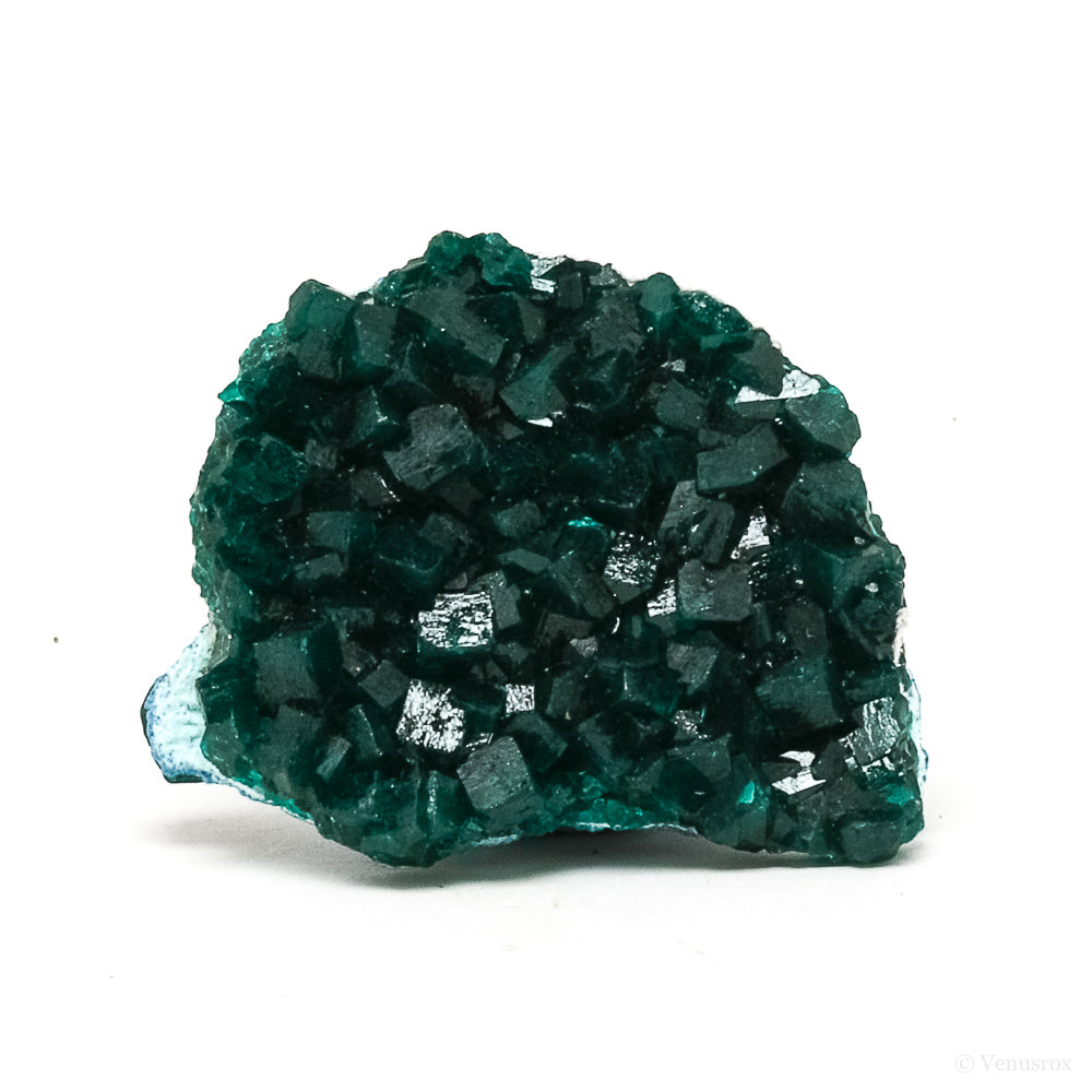 Dioptase with Shattuckite Natural Cluster from Kolwesi, Katanga Province, Democratic Republic of the Congo | Venusrox