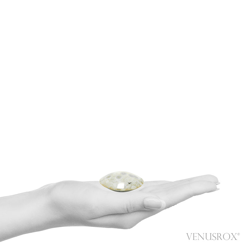 Ocean Jasper Polished Crystal from Madagascar | Venusrox