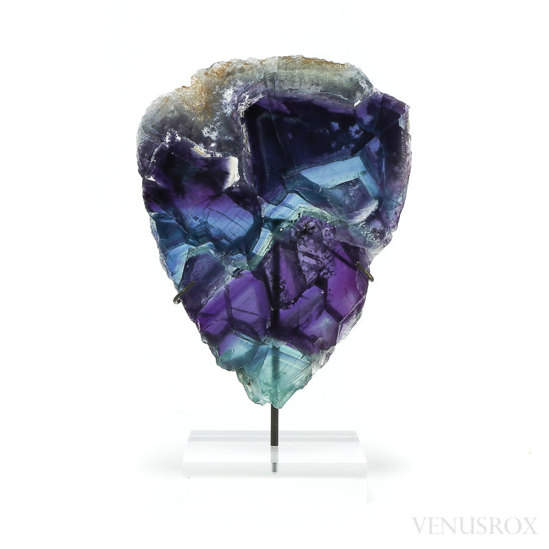 Fluorite Part Polished/Part Natural Slice from Mexico, mounted on a bespoke stand | Venusrox
