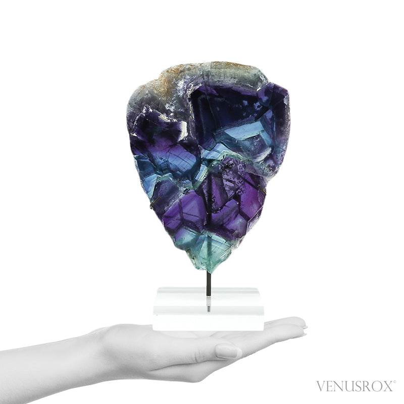 Fluorite Part Polished/Part Natural Slice from Mexico, mounted on a bespoke stand | Venusrox