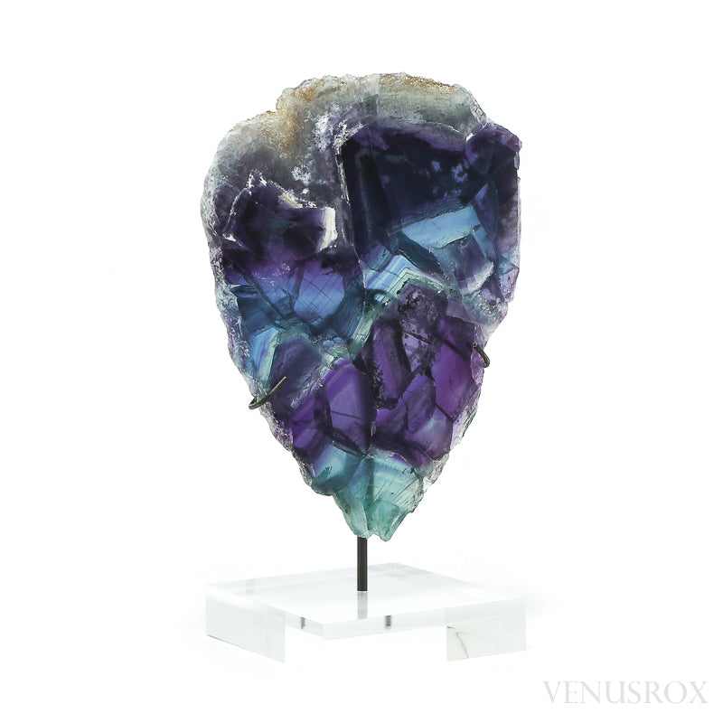 Fluorite Part Polished/Part Natural Slice from Mexico, mounted on a bespoke stand | Venusrox