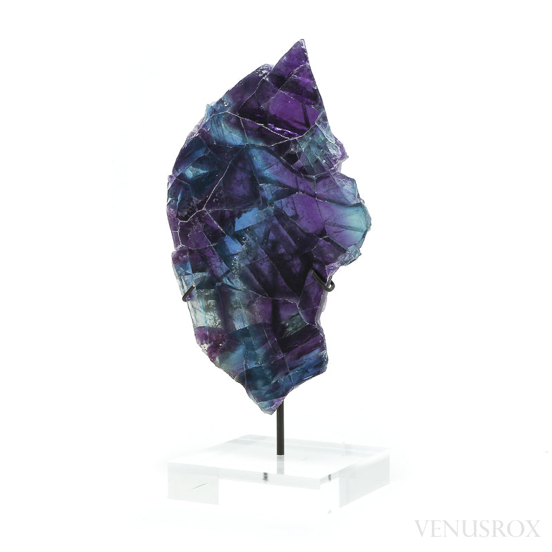 Fluorite Part Polished/Part Natural Slice from Mexico, mounted on a bespoke stand | Venusrox