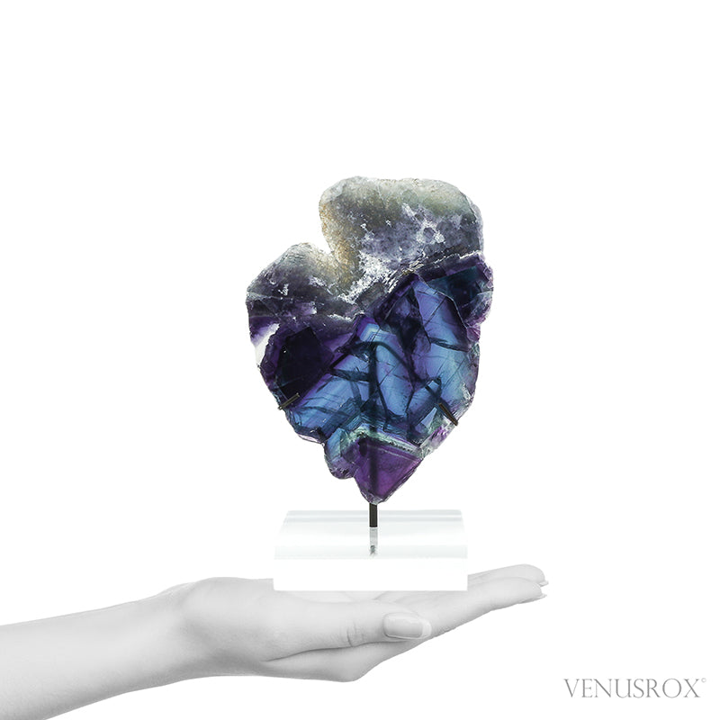 Fluorite Part Polished/Part Natural Slice from Mexico, mounted on a bespoke stand | Venusrox