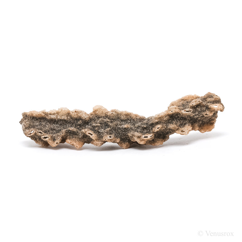 Fulgurite from North Africa | Venusrox