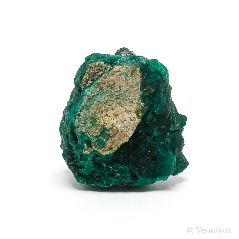 Dioptase Natural Cluster from Renéville, Kindanba District, Pool Department, Demacratic Republic of the Congo | Venusrox