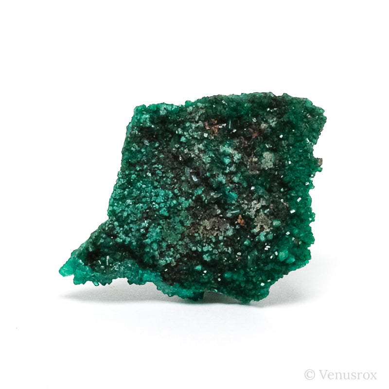 Dioptase Natural Cluster from Renéville, Kindanba District, Pool Department, Demacratic Republic of the Congo | Venusrox