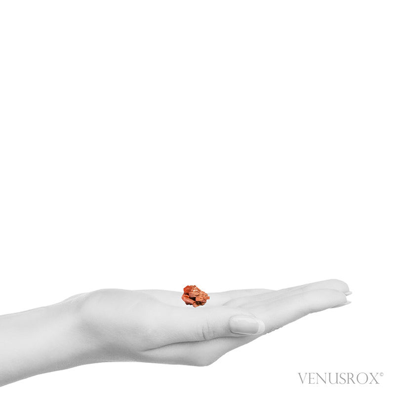 Vanadinite on Matrix Natural Cluster from Mibladen, Midelt, Meknes-Tafilalet Region, Morocco | Venusrox