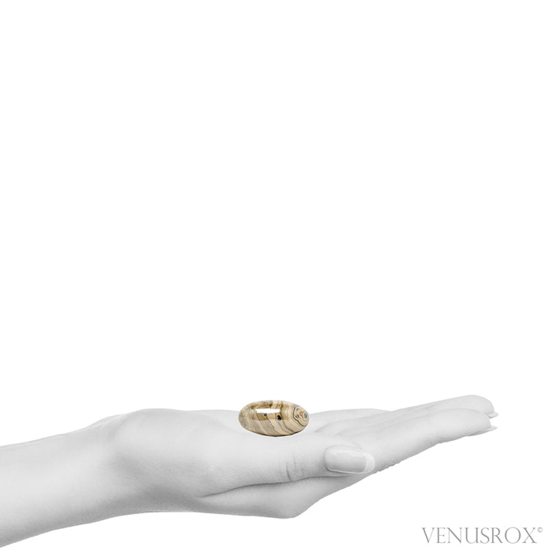 Schalenblende Polished Crystal from Olkusz, Poland | Venusrox