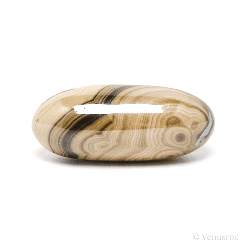 Schalenblende Polished Crystal from Olkusz, Poland | Venusrox