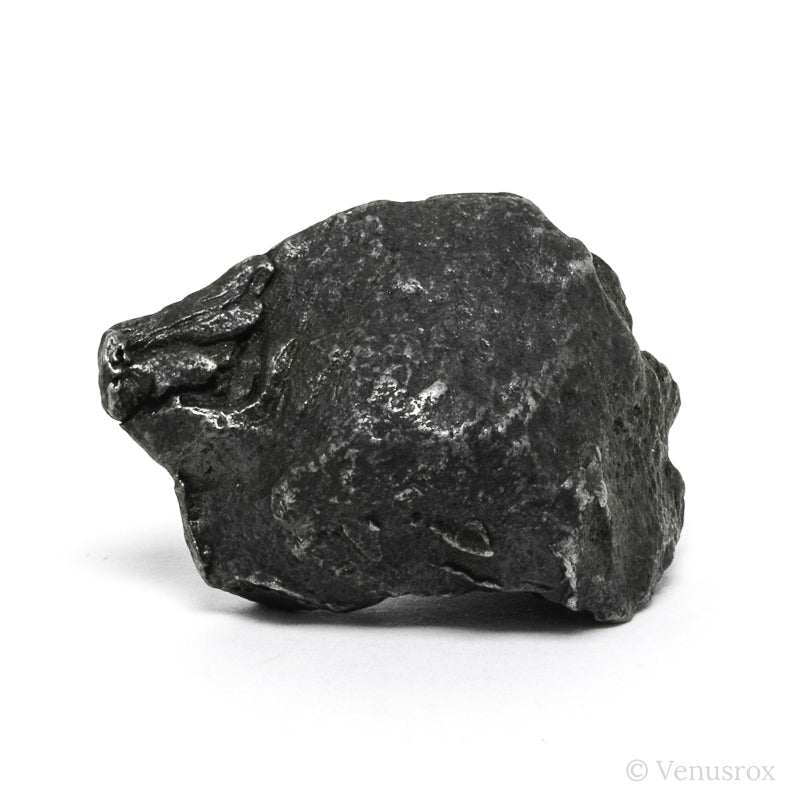 Sikhote-Alin Meteorite Shrapnel Fragment from the Sikhote-Alin Mountains, Russia | Venusrox