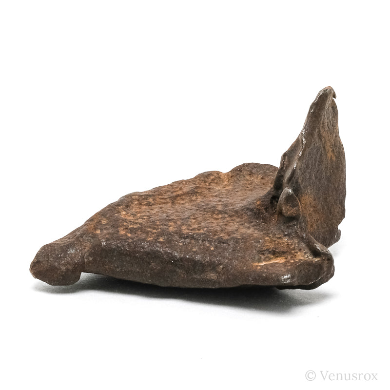 Gebel Kamil Meteorite Natural Fragment from Southern Egypt | Venusrox