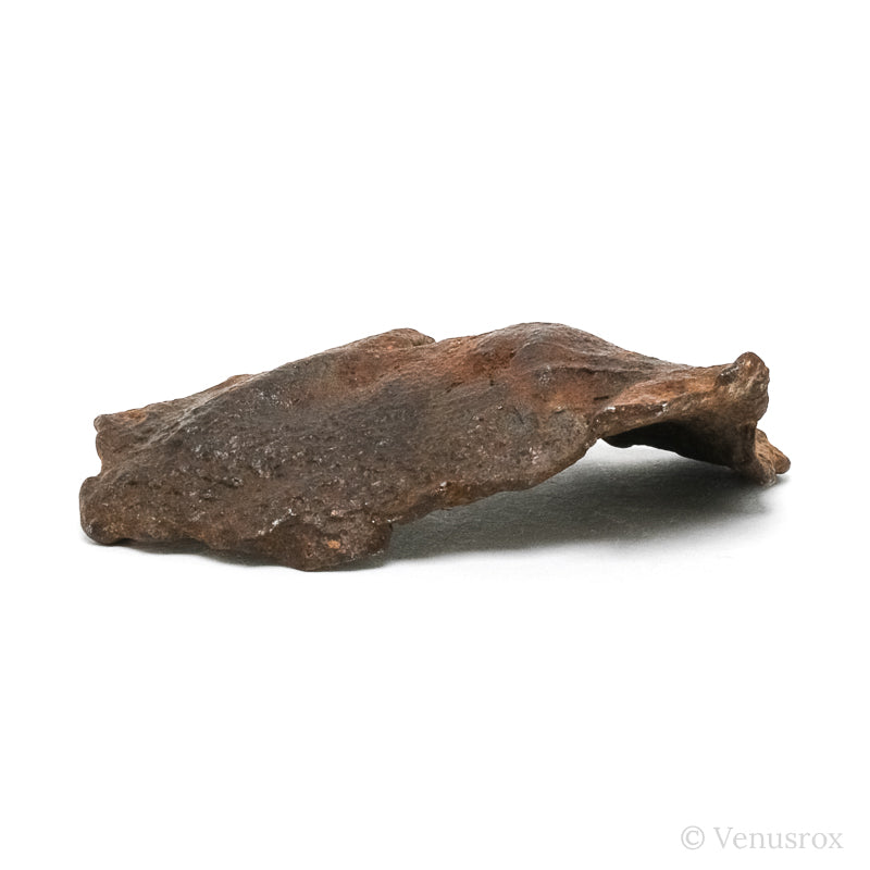 Gebel Kamil Meteorite Natural Fragment from Southern Egypt | Venusrox