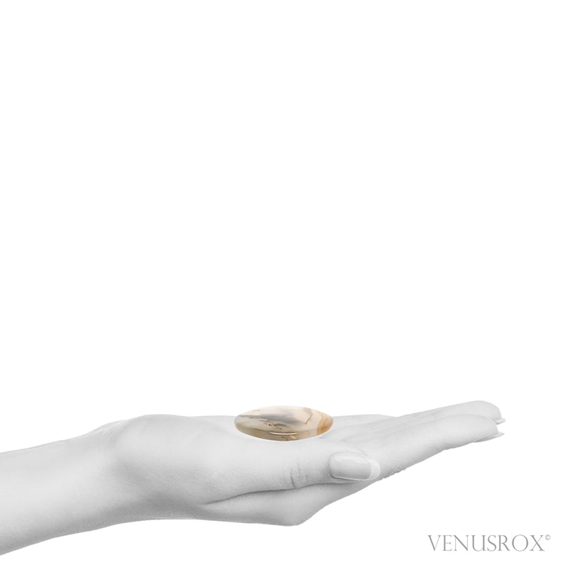 Dendritic Agate Polished Crystal from Madagascar | Venusrox