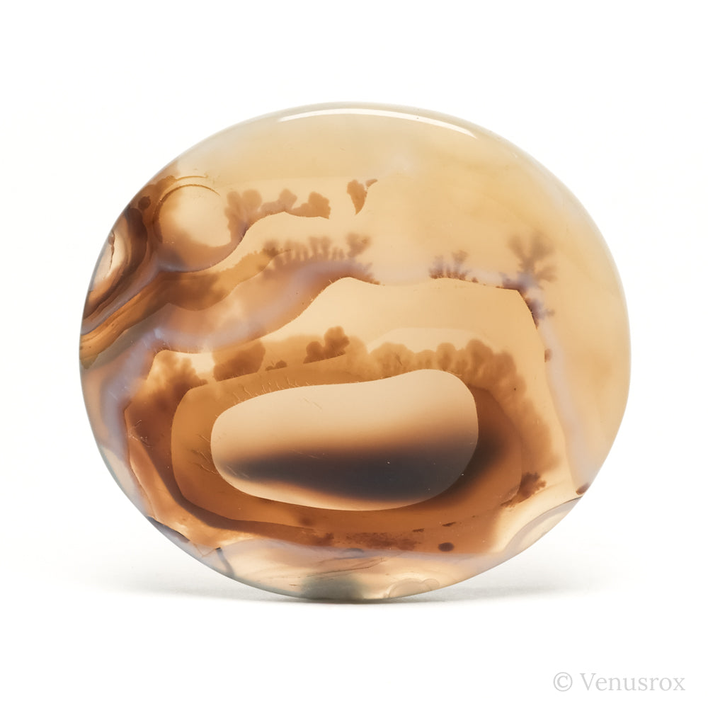 Dendritic Agate Polished Crystal from Madagascar | Venusrox