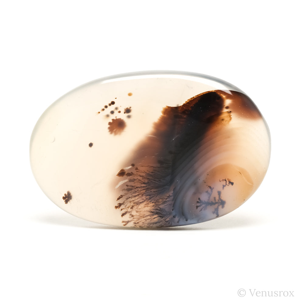 Dendritic Agate Polished Crystal from Madagascar | Venusrox