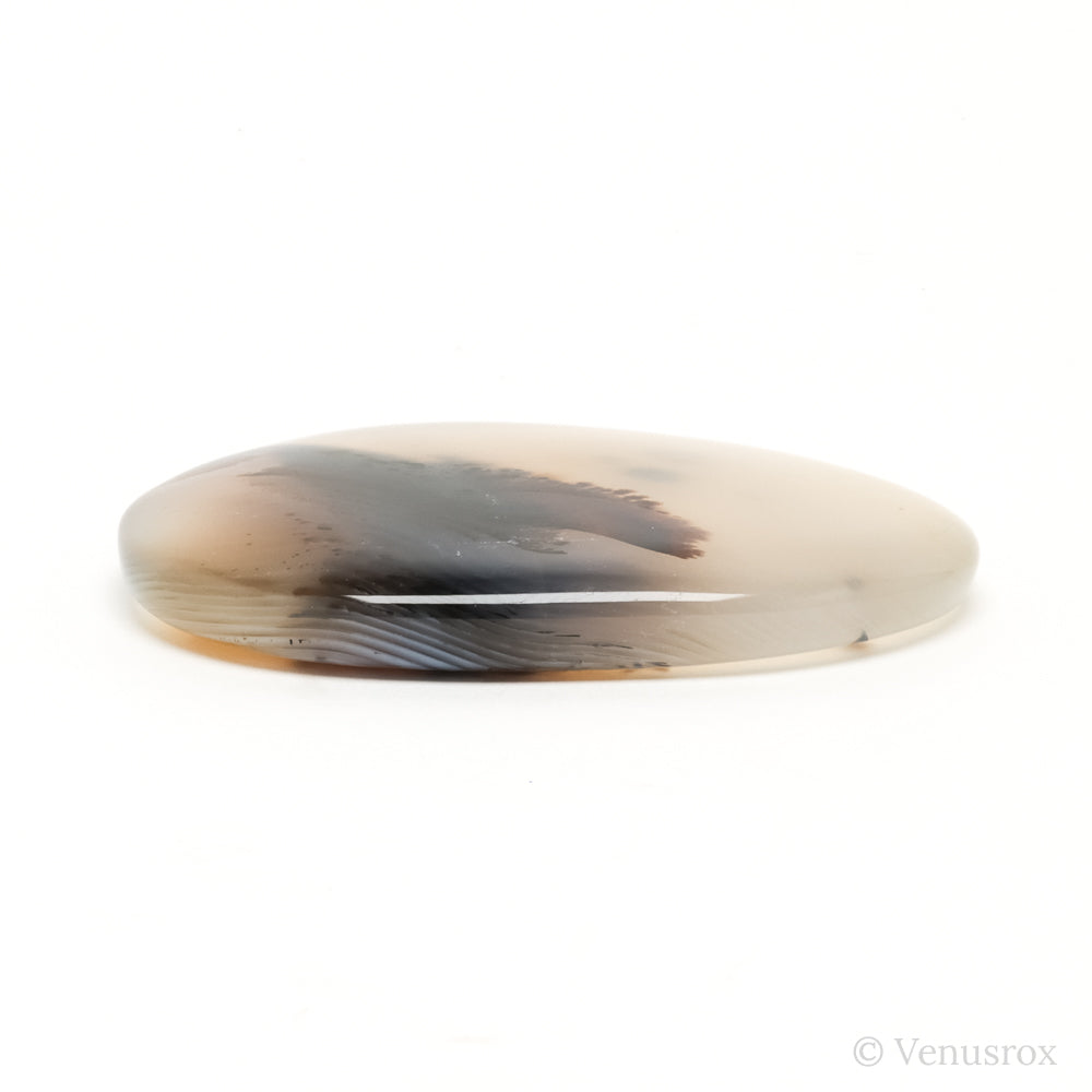 Dendritic Agate Polished Crystal from Madagascar | Venusrox