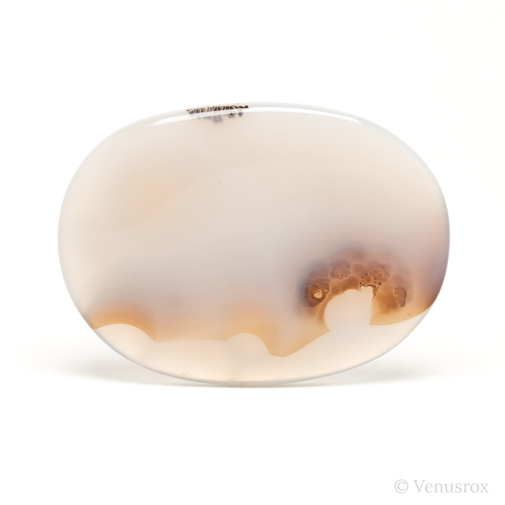Dendritic Agate Polished Crystal from Madagascar | Venusrox