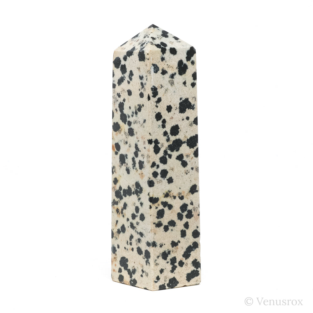 Dalmatian Jasper Polished Point from China | Venusrox