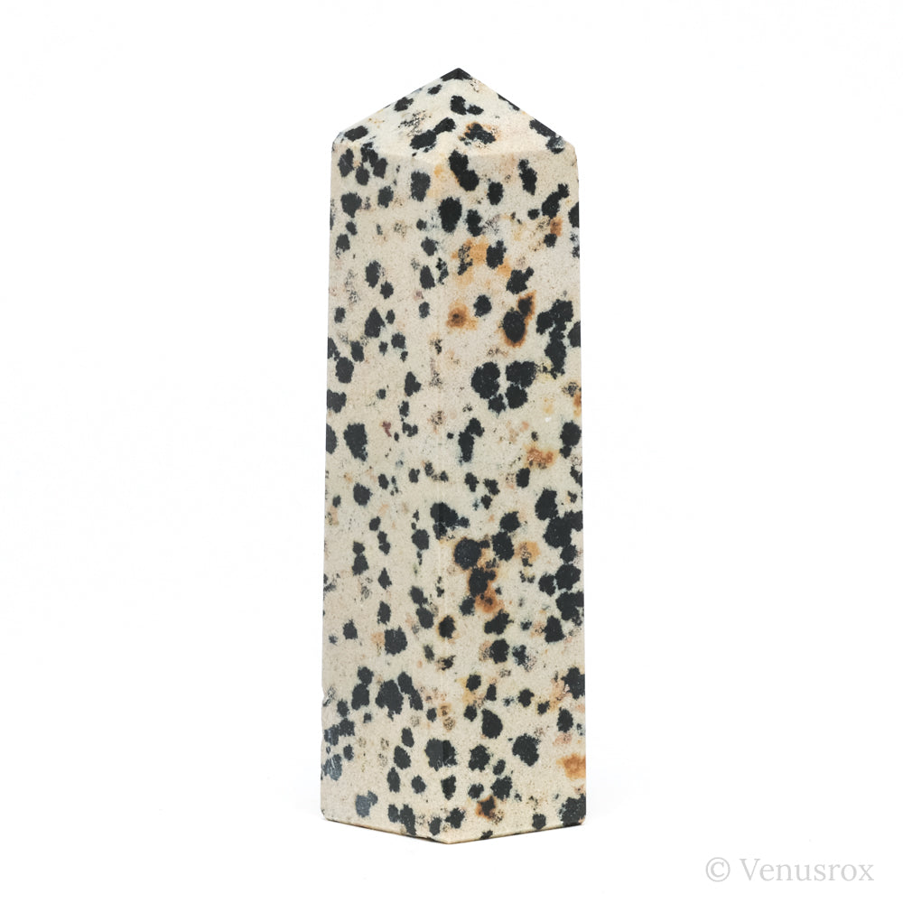 Dalmatian Jasper Polished Point from China | Venusrox