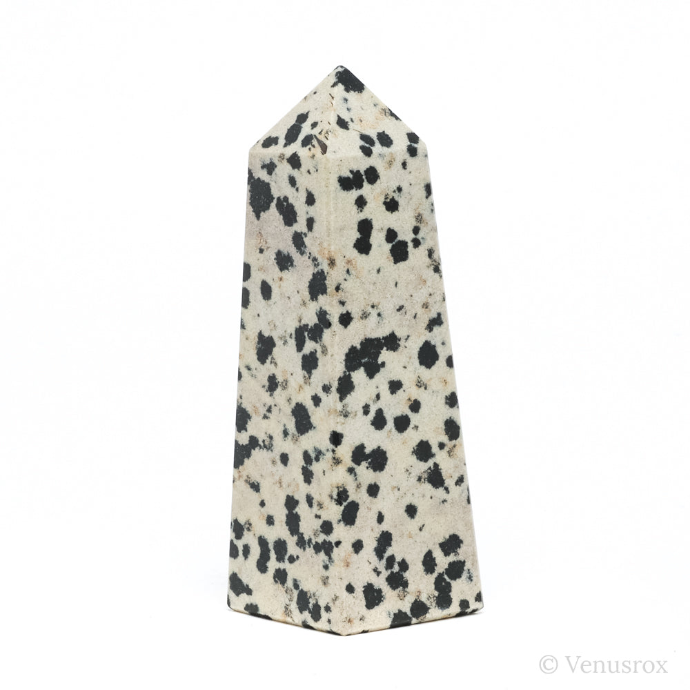 Dalmatian Jasper Polished Point from China | Venusrox