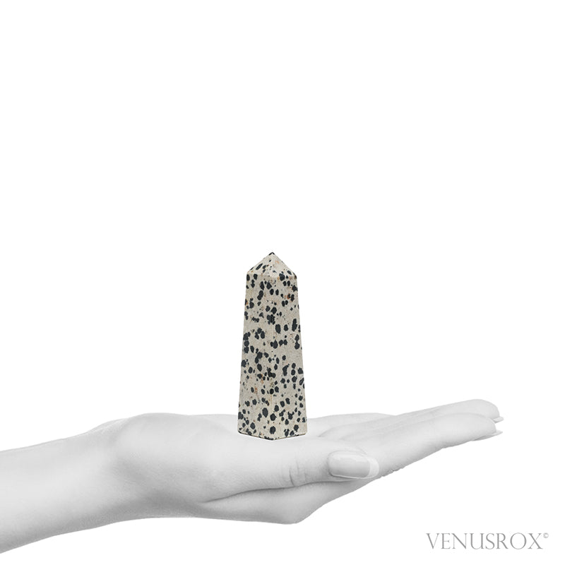 Dalmatian Jasper Polished Point from China | Venusrox