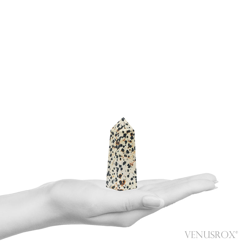 Dalmatian Jasper Polished Point from China | Venusrox