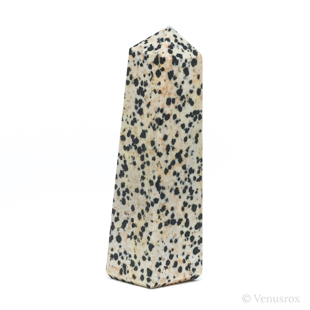 Dalmatian Jasper Polished Point from China | Venusrox