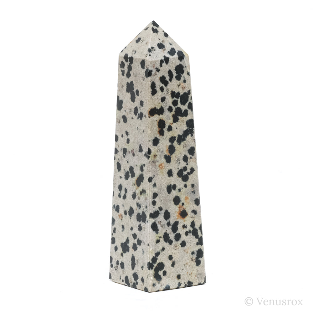 Dalmatian Jasper Polished Point from China | Venusrox