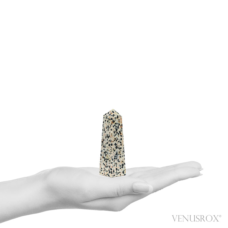 Dalmatian Jasper Polished Point from China | Venusrox