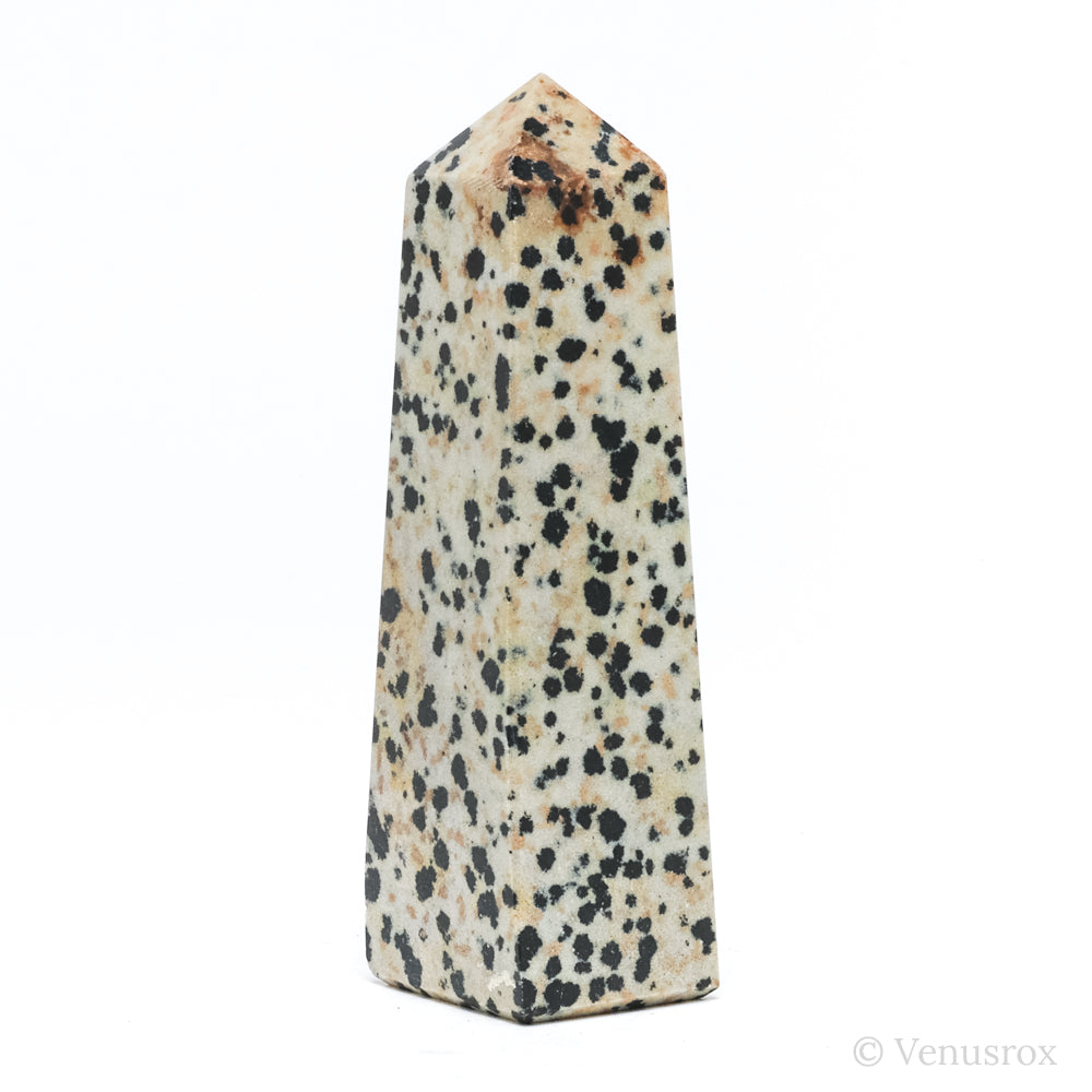 Dalmatian Jasper Polished Point from China | Venusrox