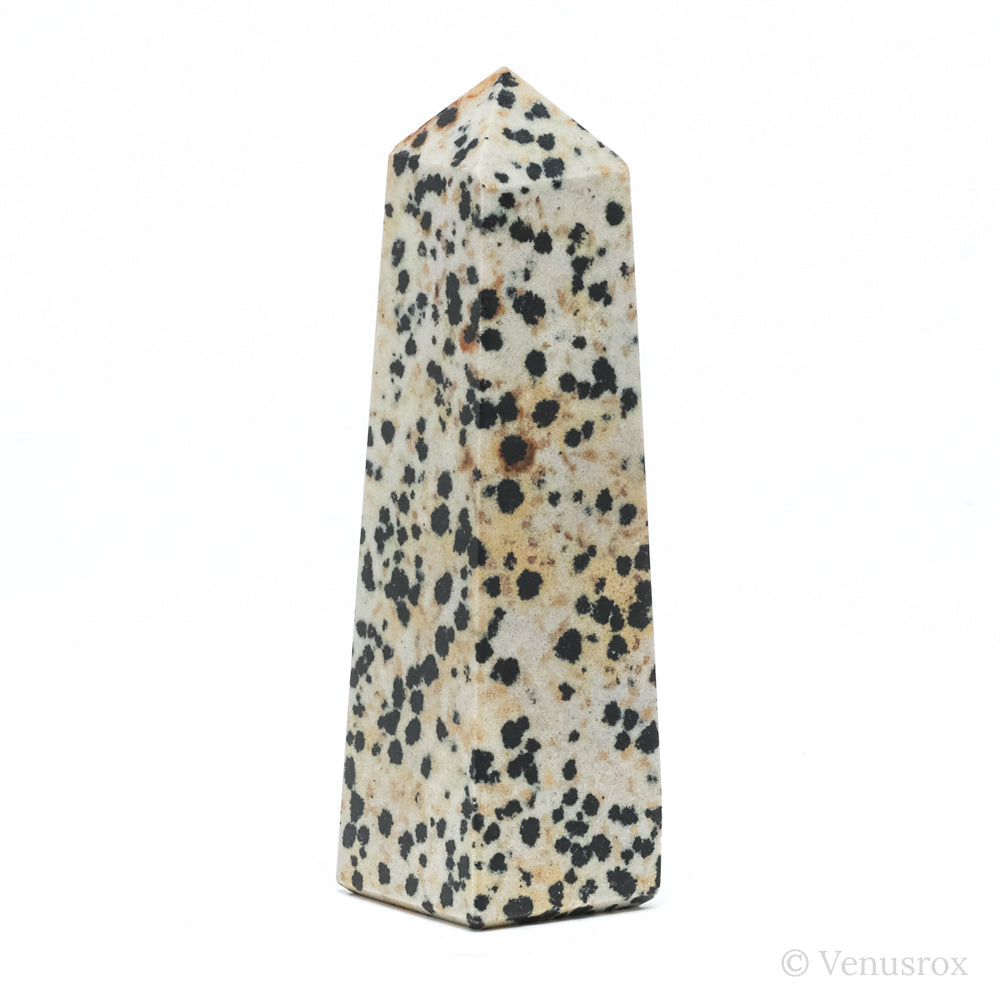 Dalmatian Jasper Polished Point from China | Venusrox