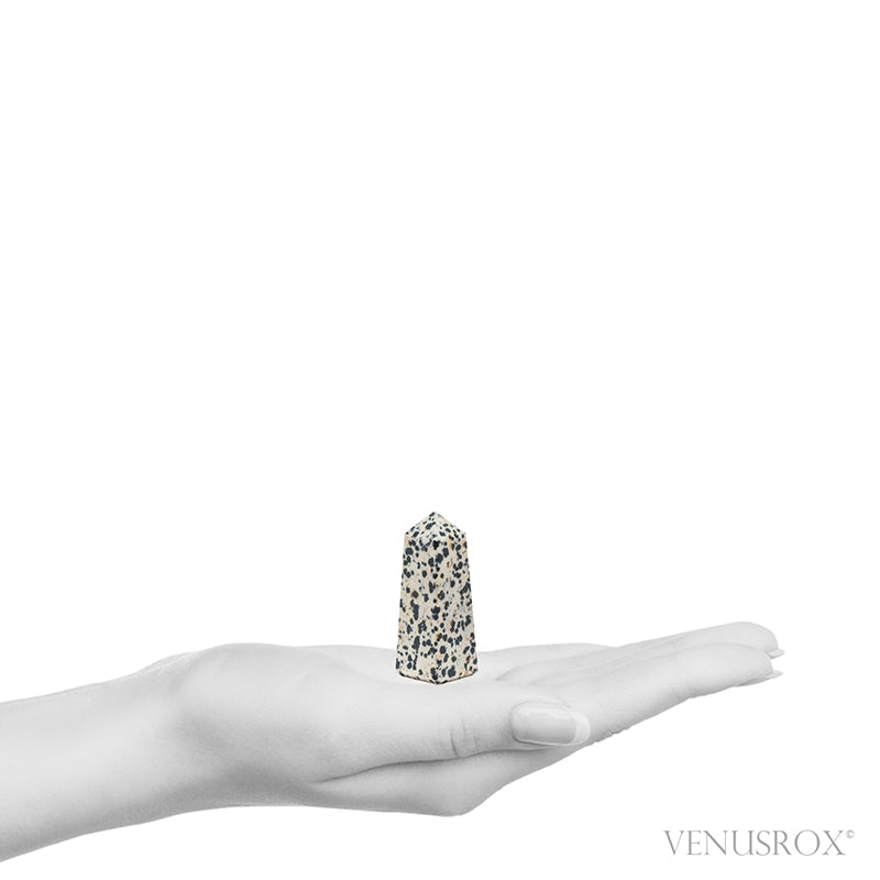 Dalmatian Jasper Polished Point from China | Venusrox