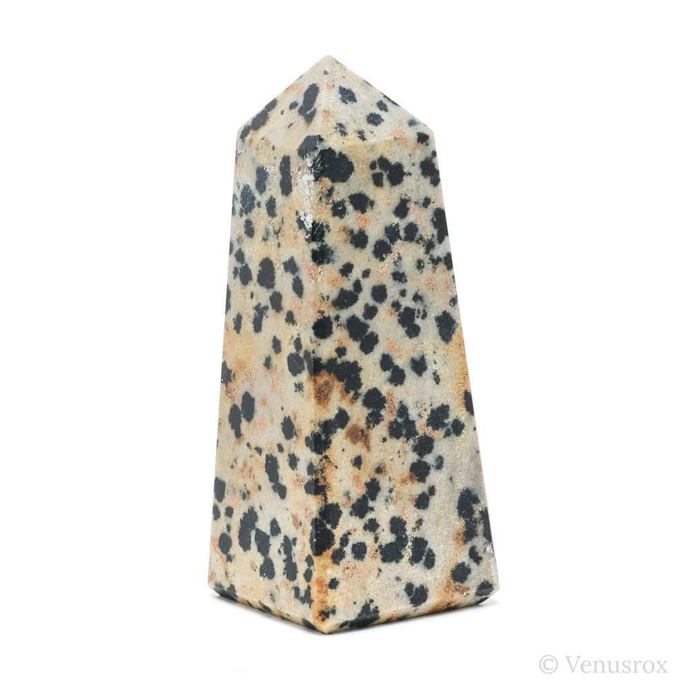Dalmatian Jasper Polished Point from China | Venusrox