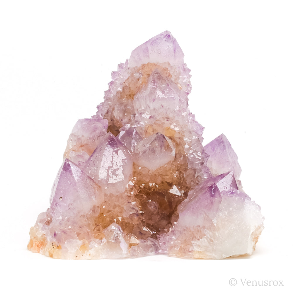 Amethyst Spirit Quartz Cluster from Mpumalanga, South Africa | Venusrox