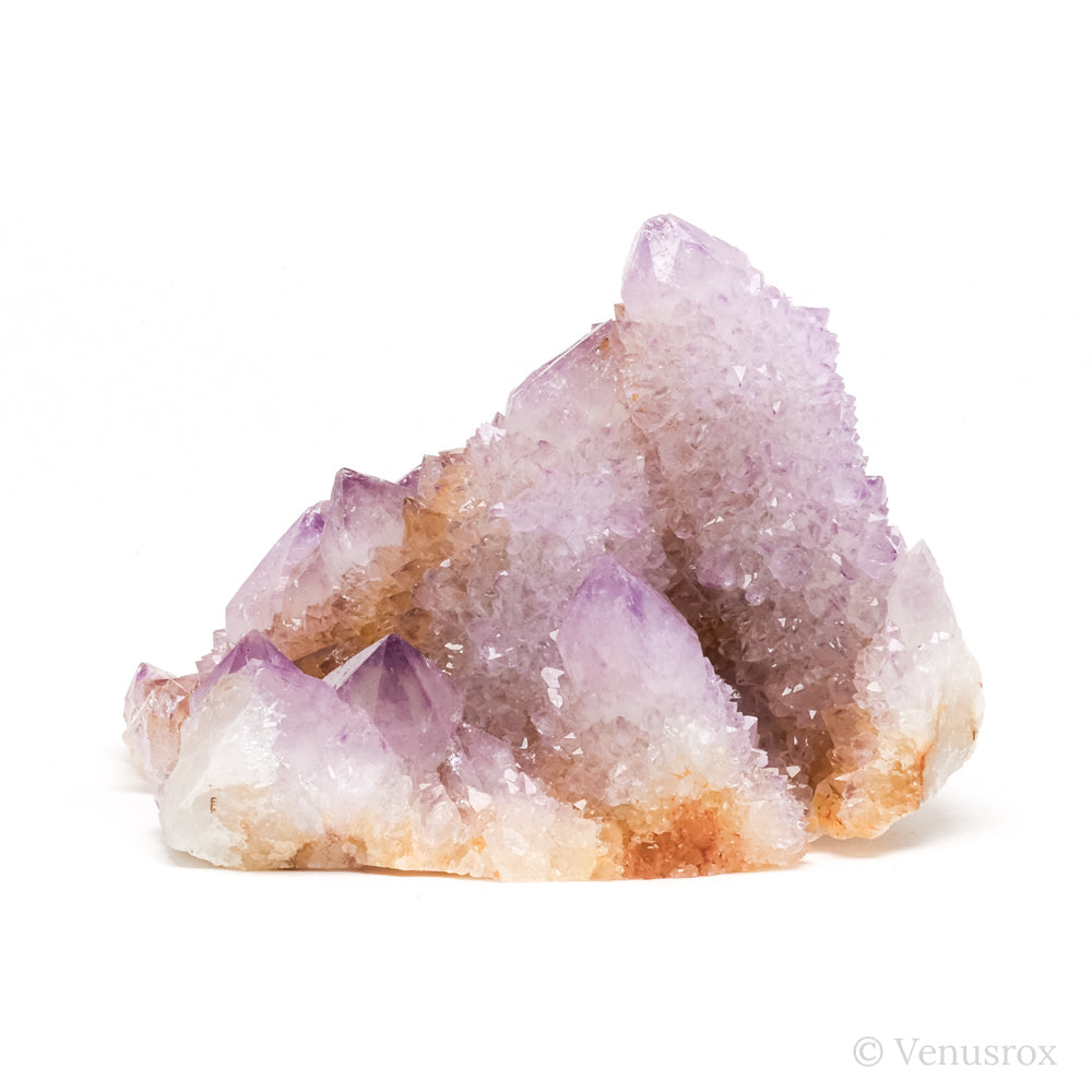 Amethyst Spirit Quartz Cluster from Mpumalanga, South Africa | Venusrox