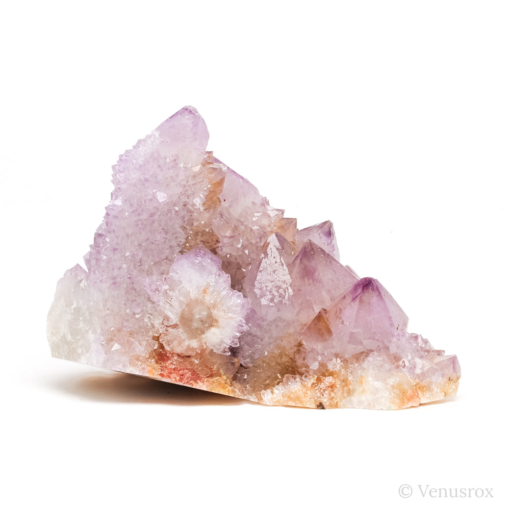 Amethyst Spirit Quartz Cluster from Mpumalanga, South Africa | Venusrox