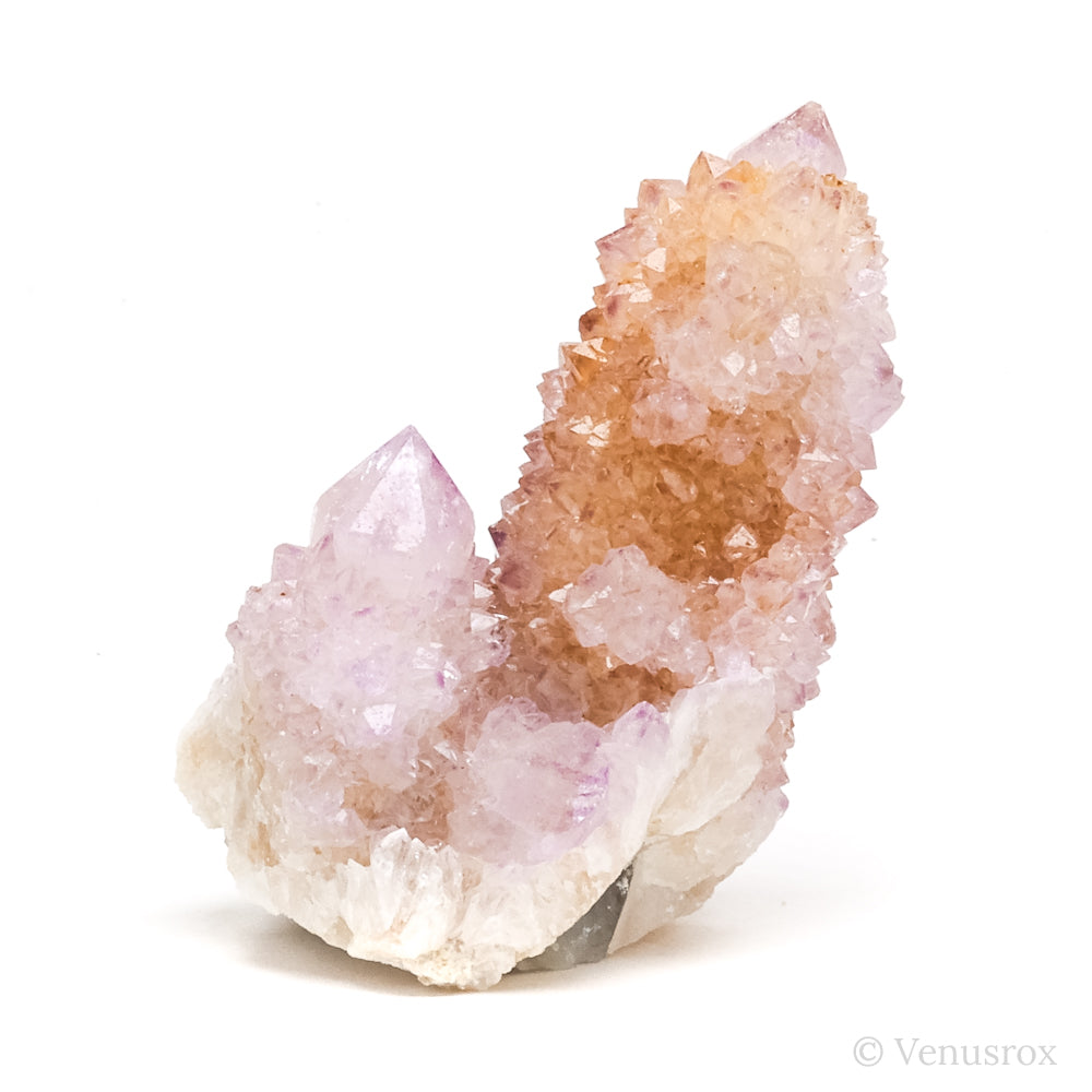 Natural Amethyst Spirit Quartz Cluster from Mpumalanga, South Africa | Venusrox