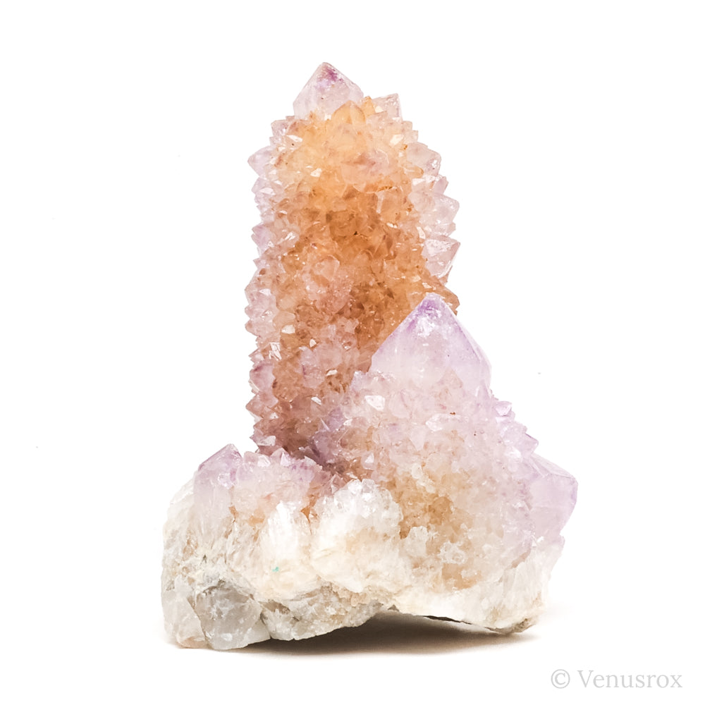 Natural Amethyst Spirit Quartz Cluster from Mpumalanga, South Africa | Venusrox