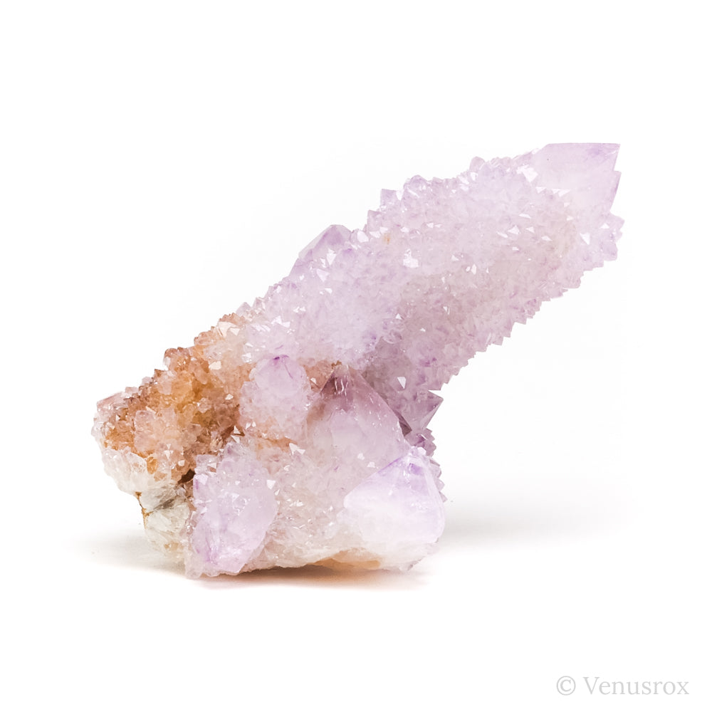 Natural Amethyst Spirit Quartz Cluster from Mpumalanga, South Africa | Venusrox