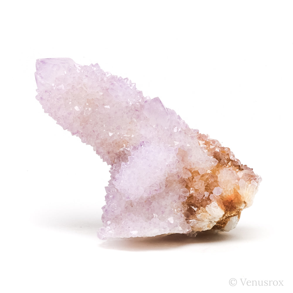 Natural Amethyst Spirit Quartz Cluster from Mpumalanga, South Africa | Venusrox