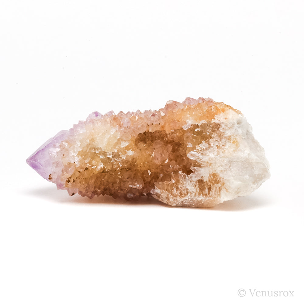 Natural Amethyst Spirit Quartz Point from Mpumalanga, South Africa | Venusrox