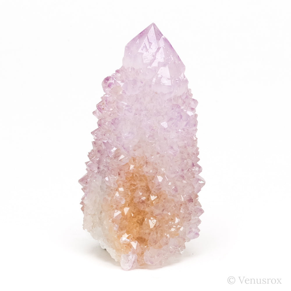 Natural Amethyst Spirit Quartz Point from Mpumalanga, South Africa | Venusrox