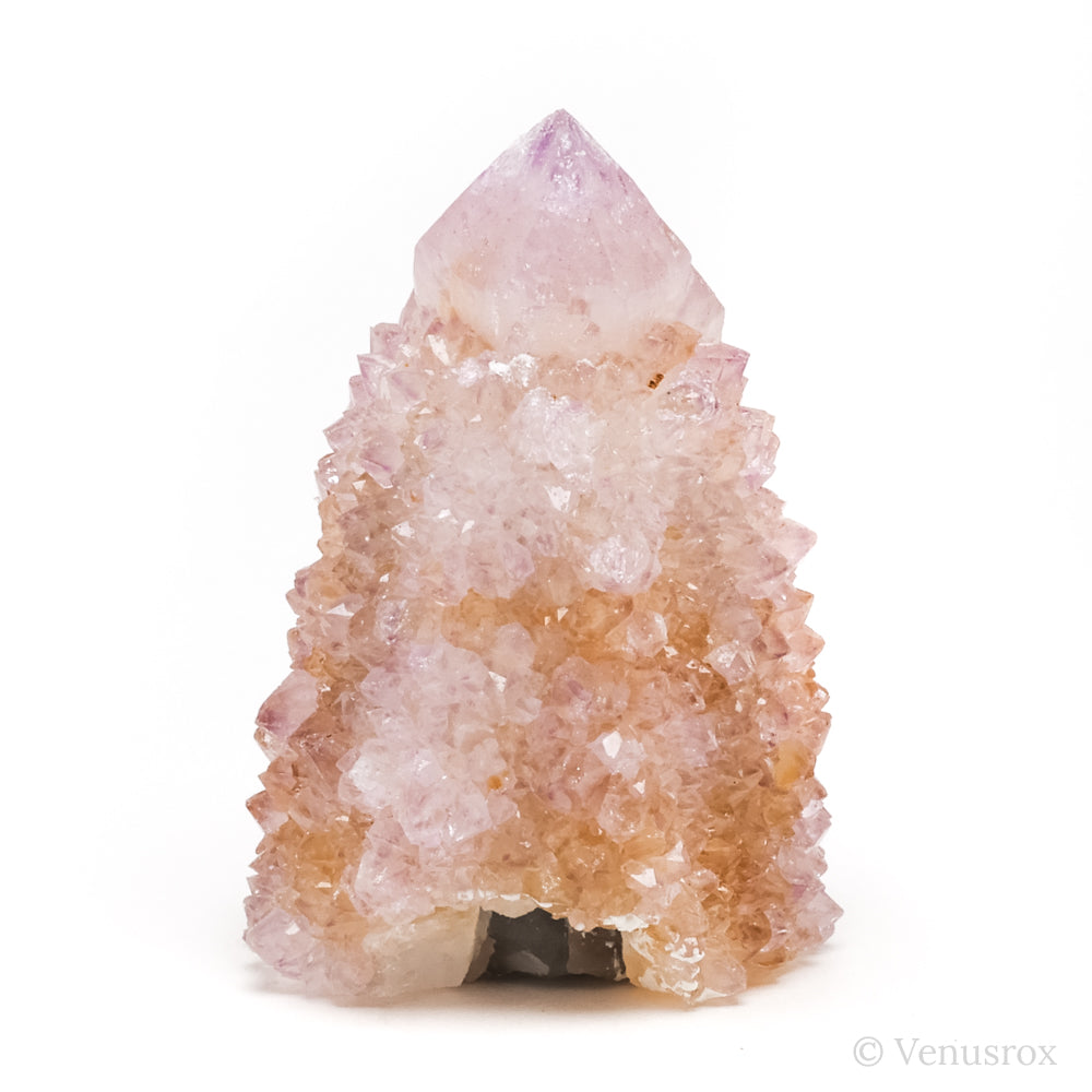Natural Amethyst Spirit Quartz Point from Mpumalanga, South Africa | Venusrox