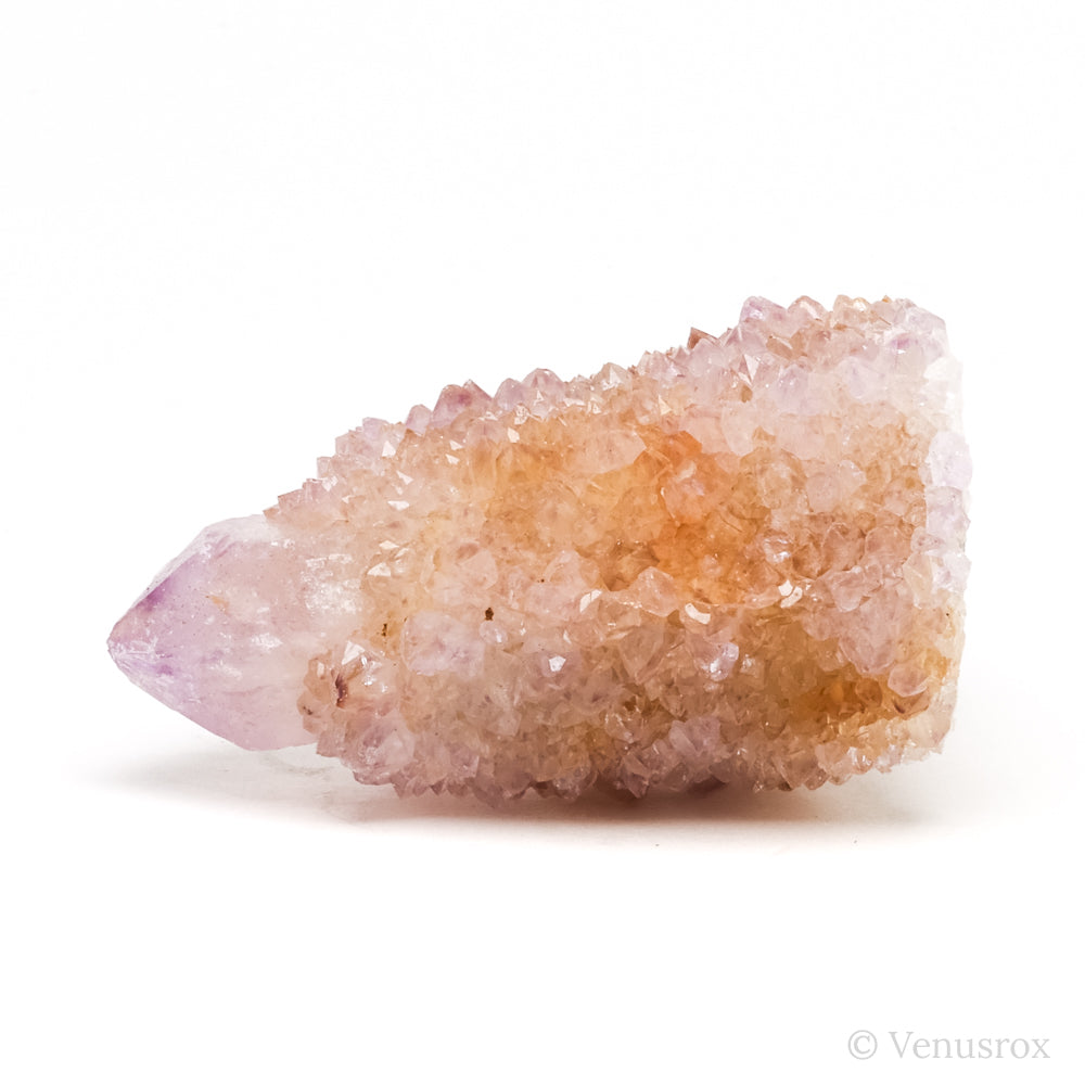 Natural Amethyst Spirit Quartz Point from Mpumalanga, South Africa | Venusrox