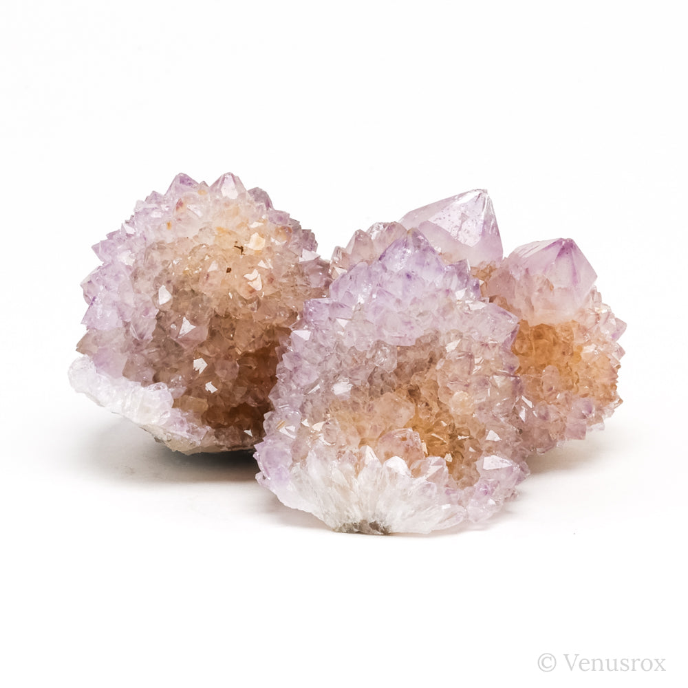 Natural Amethyst Spirit Quartz Cluster from Mpumalanga, South Africa | Venusrox