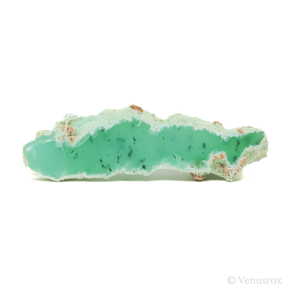 Chrysoprase Polished/Natural Crystal from the Szklary Chrysoprase Mine, Poland | Venusrox