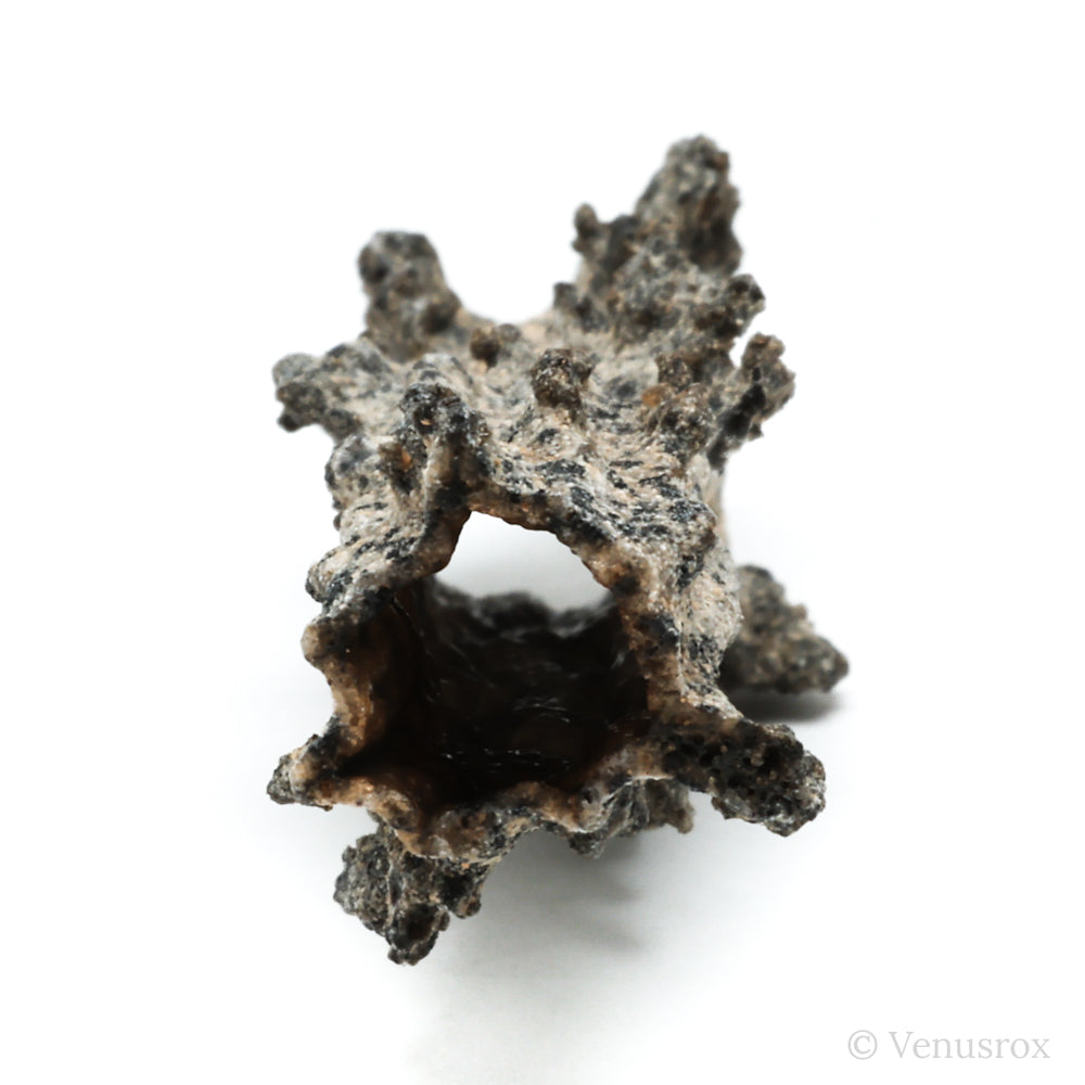 Fulgurite from North Africa | Venusrox