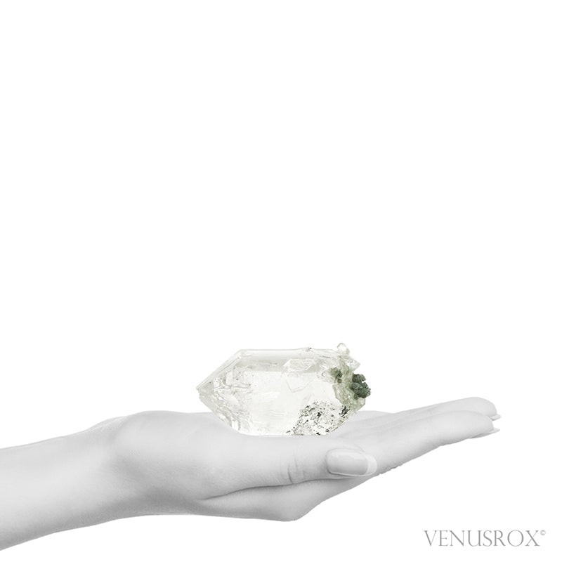 Himalayan Chlorite Phantom Quartz with Anatase Natural Cluster from the Indian Himalayas | Venusrox